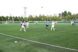 15_2_150412_4.JPG