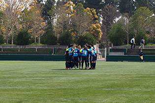 15_2_160410_01.jpg