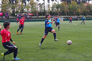 15_2_160410_02.jpg