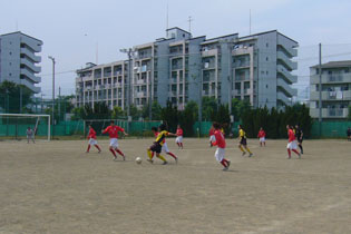 15_2_130526_2.JPG