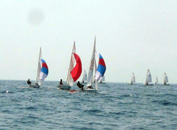 21_20100504_1.gif