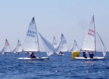 21_20100504_2.gif