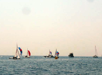 21_20100504_3.gif