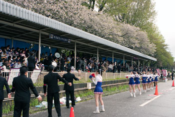 4_110424_5.JPG