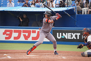 20241019-01.JPG