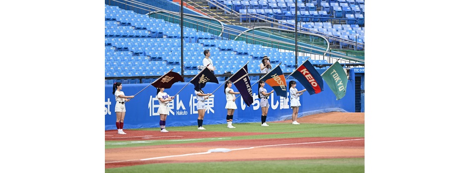 慶應義塾大学　体育会野球部　公式戦用スパイク 慶應義塾大学 体育会野球部 公式戦用スパイク